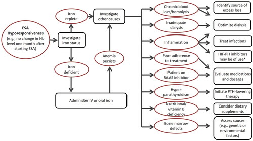 Figure 1. Factors associated with ESA hyporespone (from Am J Nephrol, 2021,52(6):450-466. [Citation8]).