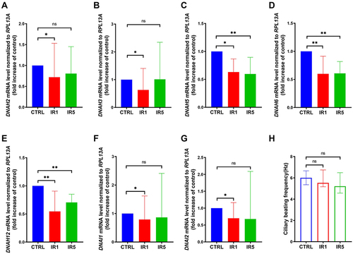 Figure 4 Ultrastructural alteration of ciliated cells exposed to IR. (A–G) mRNA level of outer dynein arm heavy chain and intermediate chain markers DNAH5, DNAH6, DNAH12 are decreased significantly in both IR1 and IR5 groups, while DNAH2, DNAH3, DHAI1, DNAI2 only significantly decreased in the IR1 group (n = 9). (H) Ciliary beating frequency (CBF) was auto analyzed using the SAVA system on ALI day 28, a decreasing trend of CBF was detected in the IR1 and IR5 groups (n = 8). Error bars represent median with interquartile range. P > 0.05 is presented as “ns”; P < 0.05 is presented as “*”; P < 0.01 is presented as “**”. IR1: hNECs that exposed to single irradiation; IR5: hNECs that exposed to repeated irradiation; CTRL: The untreated hNECs.