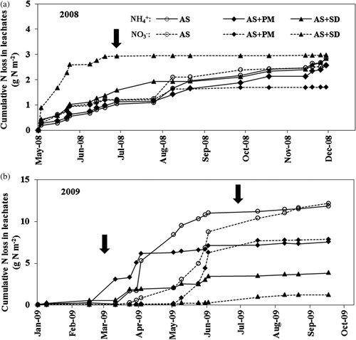 Figure 4 Cumulative nitrogen (N) losses as ammonium ion () and nitrate ion () in leachates in 2008 (a) and 2009 (b). AS, ammonium sulfate applied alone; AS + PM, ammonium sulfate applied with peat moss; AS + SD, ammonium sulfate applied with sawdust compost and ferrous sulfate. Vertical arrows show the timing of nitrogen fertilizer applications.