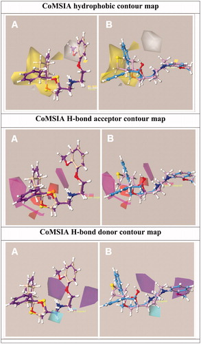 Chart 2. Contour maps of Model II CoMSIA model hydrophobic, H-bond acceptor and H-bond donor descriptors are shown. Compounds 19, 39 and 53 cis, 67 are depicted.