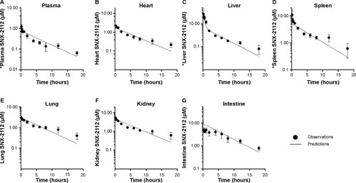 Figure 8 Physiologically based pharmacokinetic (PBPK) modeling of SNX-2112’s disposition following administration of nanocrystals (2 mg/kg). (A) Plasma concentration–time profile. (B) Heart concentration–time profile. (C) Liver concentration–time profile. (D) Spleen concentration–time profile. (E) Lung concentration–time profile. (F) Kidney concentration–time profile. (G) Intestine concentration–time profile. Black solid lines are predicted data from the PBPK model.Note: *Total drug = nonparticulate + nanoparticulate drug.