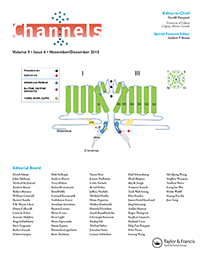 Cover image for Channels, Volume 9, Issue 6, 2015