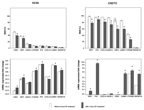 Figure 5. Promoter methylation and gene expression in SI-NET cell lines treated by 5µM 5-aza-CR. At the top is shown MetI in HC45 and CNDT2 cell lines treated with 5-aza-CR. Corresponding mRNA expression fold changes are shown below. The values are in relation to SI-NET 30P in which all genes were expressed (assigned the arbitrary value 1.0). Results before and after 5-aza-CR treatments are indicated by white and striped bars, respectively. P values for statistical comparisons between groups are indicated for suggestive P values ≤ 0.050 (*).