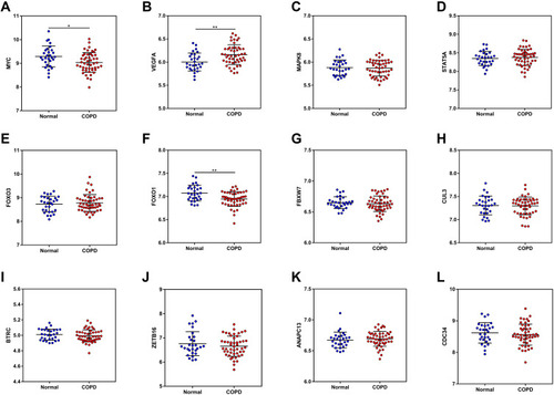 Figure 9 The mRNA expression of the top 12 hub genes was determined from the GSE56768 dataset.