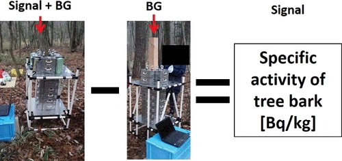 Figure 11. Schematic view of the background subtraction process.