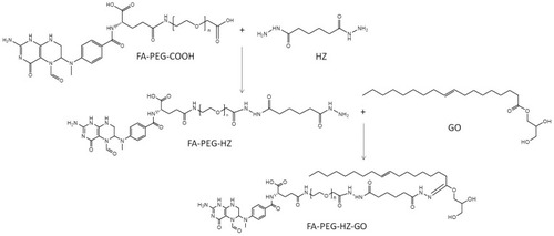 Figure 1 Synthesis of folate-contained, pH-sensitive ligands. Folate-contained, pH-sensitive ligands were synthesized by conjugating FA-PEG-COOH with GO through a hydrazone bond.
