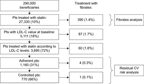 Figure 1 Flowchart of patients in analysis.