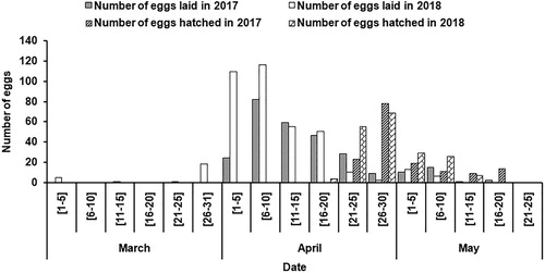 Figure 2. Phenology of nest initiation, egg laying and hatching of the Indian Skimmer along the Mahanadi River in Odisha, eastern India during 2017 and 2018.