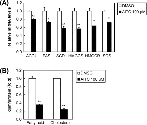 Fig. 3. AITC suppresses SREBP target gene expression as well as the de novo synthesis of fatty acids and cholesterol.