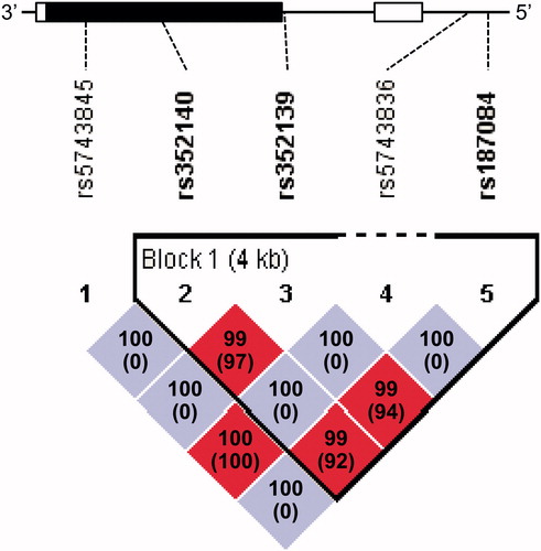 FIGURE 1.  Linkage disequilibrium plot of five polymorphic TLR9 SNPs in 507 study participants. A schematic of the TLR9 gene is shown as a black line with black boxes representing the coding region and white boxes representing the untranslated region. The locations of the genotyped SNPs are indicated by the dotted line. The D′ value and r2 value (in parentheses) corresponding to each SNP pair are expressed as a percentage and shown within the respective square. Color scheme is based on D′ and logarithm of the odds (LOD) score values: blue, D′ = 1 and LOD < 2; shades of pink/red, D′ < 1 and LOD ≥ 2; bright red, D′ = 1 and LOD ≥ 2.