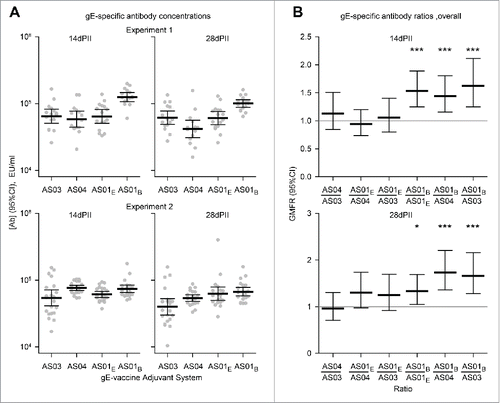 Figure 2. Geometric mean concentrations (GMCs) of (A) gE-specific antibodies and (B) ratios of GMCs (GMFRs) from different adjuvanted-vaccine groups. Sera (Experiment 1, N = 16 1 and Experiment 2, N = 22) were sampled at 14 and 28 d after the second vaccine dose (14dPII and 28dPII, respectively). Error bars represent 95% confidence intervals. Antigen-specific antibodies were not detected in the NaCl group (concentrations were below the cut-off of the assay; i.e.<500 EU/ml). In (B), horizontal gray reference lines indicate a ratio = 1, and asterisks indicate significant differences from 1 (*p<0.05; *** p<0.001). Antigen-specific antibody concentrations (in EU/ml and defined by internal standards) were measured by ELISA as previously described.Citation13 Statistical calculations were performed as described in Figure 1.