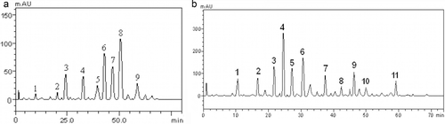 Figure 1. (A) Representative high-performance liquid chromatography profile of Physalis angulata extract. Gallic acid (peak 1), chorogenic acid (peak 2), caffeic acid (peak 3), ellagic acid (peak 4), rutin (peak 5), quercitrin (peak 6), isoquercitrin (peak 7), quercitrin (peak 8), and kaempferol (peak 9). (B) Representative high-performance liquid chromatography profile of Newbouldia laevis leaf extract. Gallic acid (peak 1), catechin (peak 2), chorogenic acid (peak 3), caffeic acid (peak 4), ellagic acid (peak 5), epicatechin (peak 6), rutin (peak 7), quercitrin (peak 8), isoquercitrin (peak 9), quercitrin (peak 10), and kaempferol (peak 11).