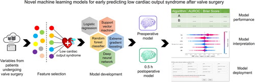 Figure 1. Graphical abstract. We developed novel machine learning models for early predicting low cardiac output syndrome after valve surgery preoperatively and 0.5 h postoperatively.