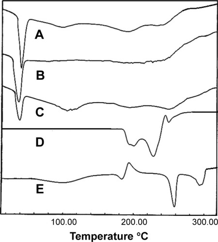 Figure 3 DSC curves.Notes: DSC curves for (A) camel milk phospholipid mixture, (B) camel milk phospholipid mixture with doxorubicin 94:6 w/w, (C) camel milk phospholipid mixture with etoposide 94:6 w/w, (D) pure doxorubicin, and (E) pure etoposide.Abbreviation: DSC, differential scanning calorimetry.