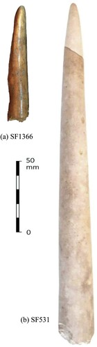 Figure 7 Fragments of shamans’ staffs? (a) WF16 SF1366; (b) SF531 (photos: S. Mithen and B. Finlayson).