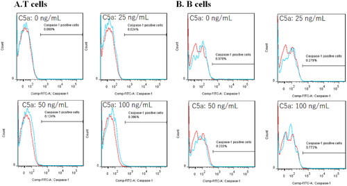 Figure 4. Flow cytometric analysis of CD3+ lymphocytes and CD19+ lymphocytes stimulated by C5a. PBMCs stimulated by C5a for 6 h. The expression of active caspase-1 was analyzed by flow cytometric analysis. (A) Flow cytometry overlay histograms for active caspase-1 demonstrate typical cell profiles comparing between C5a stimulated CD3+ T-cells and negative controls. Active caspase-1 expression was detected using FAM-FLICA™ (blue histogram) or isotype control antibody (red histograms). (B) Flow cytometry overlay histograms for active caspase-1 demonstrate typical cell profiles comparing between C5a stimulated CD19+ T-cells and negative controls. Active caspase-1 expression was detected using FAM-FLICA™ (blue histogram) or isotype control antibody (red histograms). PBMCs: peripheral blood mononuclear cells.