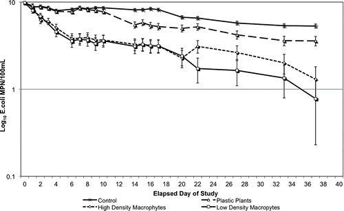 Figure 1 E. coli concentrations measured in lake water microcosms with and without the presence of aquatic macrophytes.