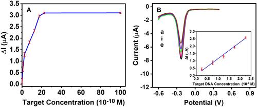 Figure 7 (A) The linear relationship between the different concentration of DNA target and ΔI. (B) DPV curves after hybridization with different target concentration (×10−9 M: (a) 2.25, (b) 1.75, (c) 1.25, (d) 0.75, (e) 0.25. Insert in Figure 7B shows that the linear relationship between the logarithmic of different concentration of DNA target and ΔI.