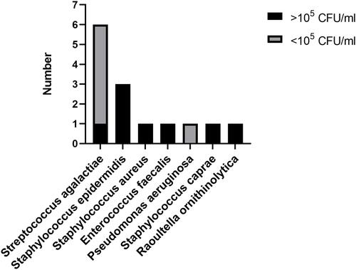 Figure 1 Bacterial characteristics observed in pre-biopsy urine culture.