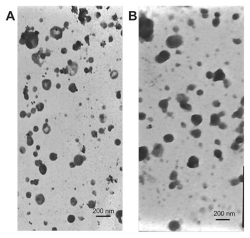 Figure 4 Transmission electron photomicrographs of freshly prepared (A) poly(ethylene glycol)-mediated docetaxel-lipid-based-nanosuspension; and (B) targeted docetaxel-lipid-based-nanosuspension.