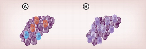 Figure 3. Cell heterogeneity.Single-cell analysis allows identification and characterization of different cell types (A) and studies of heterogeneity within respective cell types (B).