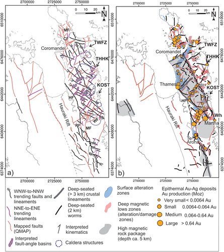 Figure 11. (a) Map showing shallow-seated structures interpreted from the short wavelength aeromagnetic anomalies. Overlaid shaded regions and circular features are interpreted discrete fault-angle basins and caldera structures respectively. (b) Map showing a summary of the magnetic fabrics in the Hauraki Goldfield. Surface hydrothermal alteration zones, deep alteration footprints (damage zones at depth) and epithermal deposits are overlaid on deep-seated crustal structures, illustrating the genetic and spatial links between crustal structures and epithermal systems. Surface hydrothermal alteration zones and location of mineral deposits with past gold production in the Hauraki Goldfield (after Christie et al. Citation2007). Abbreviations: WF = Waihi Fault; OF = Owharoa Fault; WF = Waitekauri Fault; JF = Jubilee Fault; KF = Komata Fault; RF = Rotokohu Fault; MF = Mangakino Fault; Wh = Whangamata, W = Waihi, K = Karangahake, GC = Golden Cross, BH = Broken Hills, CF = Coromandel Fault, KOST = Karangahake-Ohui structural trend, TWFZ = Tapu-Whitianga-Fault Zone, THHK = Tairua-Hikuai-Kaueranga Lineament.
