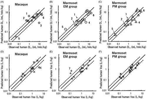 Figure 6. Relationships between observed human CLt (A–C) and Vss (D–F) values and those extrapolated by single-species allometric scaling using data from cynomolgus or rhesus monkeys (A, D), the EM marmoset group (B, E), and the PM marmoset group (C, F). Shown are data points for the 15 of the 24 test compounds for which suitable macaque data were available. Mean scaling factors averaged over the 15 substances were used (Table 6). (1) Clonazepam; (2) dapsone; (3) telmisartan; (4) acetaminophen; (5) S-warfarin; (6) zaleplon; and (7) ketoprofen. The solid and dotted lines represent unity and twofold differences, respectively.