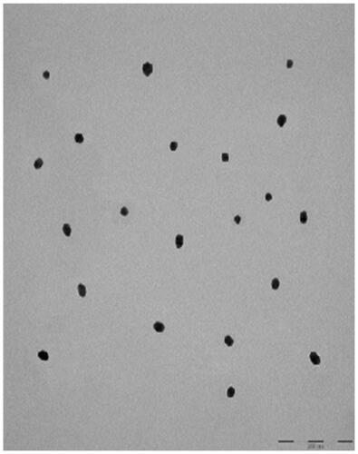 Figure 7. TEM image of gold nanoparticle (AuNP). Scale bar = 200 nm.