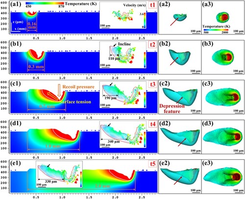 Figure 9. The molten pool morphology at the end of the single-track with lengths of (a1) ∼0.16 mm, (b1) ∼0.3 mm, (c1) ∼0.7 mm, (d1) ∼1.0 mm, and (e1) ∼2.0 mm; the (a2–e2) elevation and (a3–e3) overhand views of 3D morphology for the molten pools in (a1–e1).