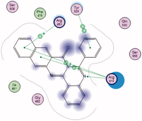 Figure 3. Interaction map of compound 12 in the Kelch domain of Keap 1 (PDB ID: 41QK).