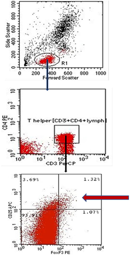 Figure 1 Gating strategy for Treg frequency detection.