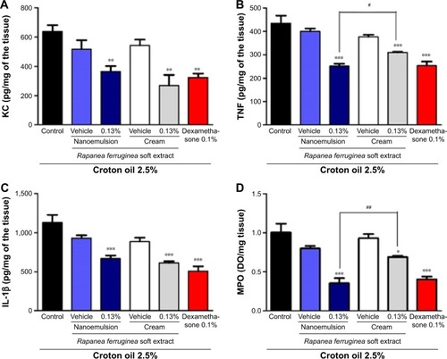 Figure 6 Anti-infammatory in vivo activity of the cream and nanoemulsion containing extract of Rapanea ferruginea stem bark.Notes: Effect of the nanoemulsion and cream containing the Rapanea ferruginea extract on the inhibition of KC (A), on the production of TNF (B), IL-1B (C), and on MPO activity (D) in supernatants of homogenates from croton oil-treated ears. Each measure was realized after 6 hours of croton oil induction. Each bar represents the mean ± standard error of the mean for six animals. The graphic symbol (*) indicates the significance levels when compared with control group and (#) indicates the significance level when compared between the groups. Significant difference of the controls, ***P<0.0001, **P<0.01, *P<0.05, and difference between groups, ##P<0.01, #P<0.05.Abbreviations: IL, interleukin; KC, keratinocyte-derived cytokine; MPO, myeloperoxidase; TNF, tumor necrosis factor.