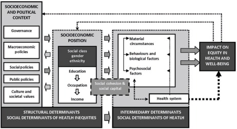 Fig. 1 Social determinants of health framework (WHO, 2010).