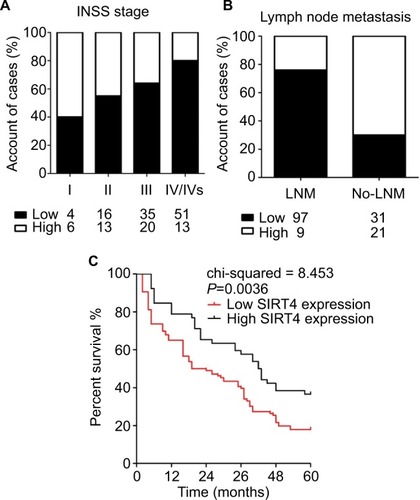 Figure 2 SIRT4 expression at each stage (A) and in patients with lymph node metastasis (B).Notes: Low/High = Low/High protein expression of SIRT4 in tissue of neuroblastoma (NB); LNM: NB patients with lymph node metastases; No-LNM: NB patients without lymph node metastases. (C) Survival curves of NB patients with different levels of SIRT4 expression.