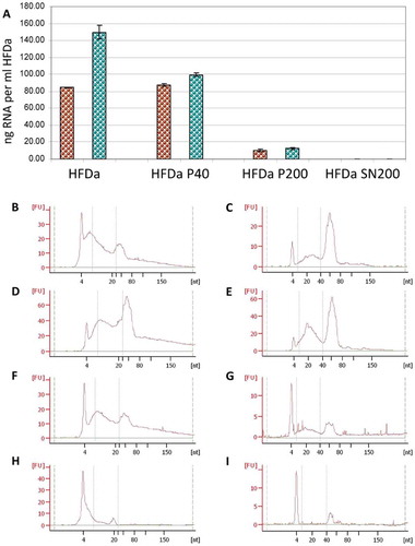 Figure 5. sRNA yield and profile in the differential centrifugation pellets and supernatant. RNA extraction was performed in triplicate (see Supplemental Table 3) and the quantity was assessed by fluorescence assay and referred per ml of HFDa: (A) brown, Norgen RNA isolation kit; green, mirVana™ RNA quality was evaluated using the Agilent 2100 Bioanalyzer using small Chip for HFDa (B,C); HFDa-P40 (D,E), HFDa-P200 (E,F) and HFDa-SN200 (G,H). Norgen RNA isolation kit (B, D, F and H) mirVana™ (C, E, G and I) profiles are representative of triplicate (Supplemental Figures S2 and S3).