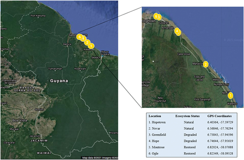 Figure 2. Map showing location of Study Sites along the coastline of Guyana(Source: Google Earth, 2020).