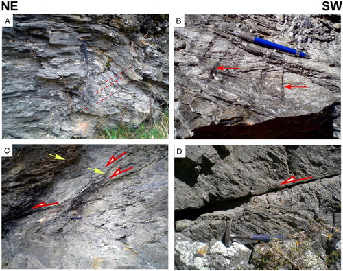 Figure 9. Structures in hanging wall of Footwall Fault. A, Southwest-verging fold associated with northwest-dipping axial planes (dashed red lines); outcrop C. B, Kink bands with steeply dipping axial planes; kink axes on foliation planes marked by ‘corrugations’ (red arrows); outcrop F. C, Northeast-dipping normal fault with associated Riedel shears (yellow arrows); outcrop G. D, Northeast-dipping normal fault truncating foliation; outcrop E. Refer to Figure 3 for locations of outcrops.