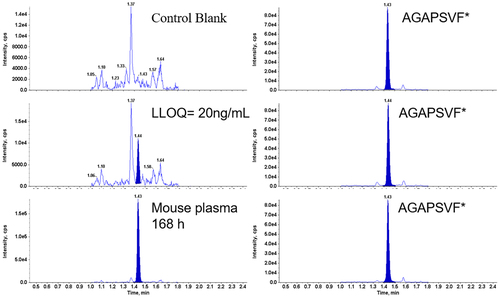 Figure 2. Representative LC/MS/MS chromatograms of the surrogate peptide AGAPSVF and stable isotope labeled AGAPSVF* from a C57BL/6J mouse plasma control blank (top panels), a spiked LLOQ sample (middle panels), a mouse PK study 168 h plasma sample after dosing (bottom panels).