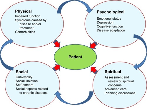 Figure 1 Components of a holistic approach.