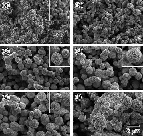 Figure 5. SEM images of Sn-MFI prepared with various HCl/Si molar ratios: (a) 0.20; (b) 0.25; (c) 0.30; (d) 0.35; (e) 0.36; (f) 0.37. The scale bar shown in (f) is common for all images. The insets are 2-fold magnified images for observing the surface roughness of the solid particles.