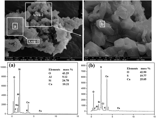 Figure 6. SEM-EDS of CaSO4-assembled particles. (a) EDX spectrum of selected area 1; (b) EDX spectrum of selected area 2.