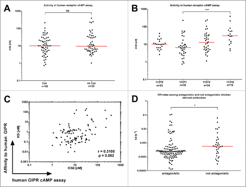 Figure 3. Functional activity of chicken-derived anti-GIPR antibodies in cAMP assay. IC50 values for the chicken-derived Abs were determined using an αscreen cAMP assay. (A) illustrates obtained values for functional antibodies broken down by cysteine content, whereas (B) illustrates antibodies raised in different chicken. (C) shows a correlation plot of the KD values vs. the IC50. In (D), the SPR off-rate constants (kd) are compared between antagonistic and not antagonistic chicken-derived antibodies. The red lines indicate the population medians. P-values were calculated using Kruskal-Wallis and Mann-Whitney tests. ns - not significant; * p<0.05; *** p<0.001.