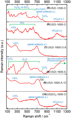 Figure 6. Averaged Raman spectra of the U-SUS-Zr simulated debris (5–10).