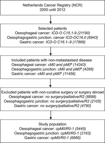 Figure 1. Schematic diagram of patient selection, inclusion and exclusion. The numbers between brackets represent the total number of patients. cM0, clinically M0 according the TNM classification; ICD-O C, International Classification of Diseases for Oncology codes; pM0, pathologically M0 according the TNM classification; R0, microscopically complete resection; R1, microscopically incomplete resection; R2, macroscopically incomplete resection. * According to the 7th version of the TNM classification.
