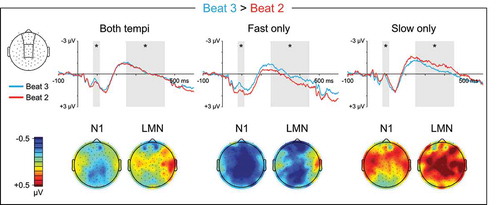 Figure 3. Ternary meter ERPs, weak beats. Top: Grand average ERPs elicited by metrically weak beat three, which immediately precedes a strong beat, and metrically weak beat two, which does not. ERP waveforms are shown averaged over medial anterior and central electrode sites. The N1 (80–115 ms) and LMN (250–450 ms) time windows are highlighted, and beat position main effect significance is indicated for each time window (* = p < 0.05, ns = p ≥ 0.05, – = test not motivated by higher-order tempo interaction). Bottom: Topographical contrast maps show the scalp distributions of beat three vs. beat two mean amplitude differences within the N1 and LMN time windows. All contrast maps are plotted using the same color axis range