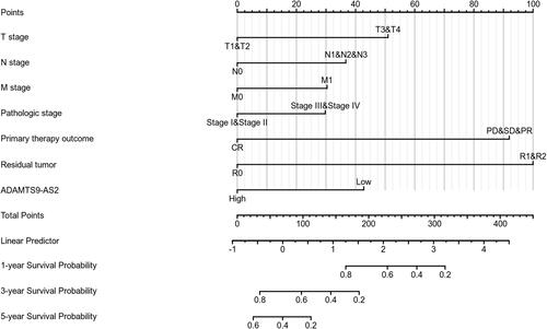 Figure 5 Nomogram for predicting the probability of patients with 1-, 3- and 5-year overall survival.