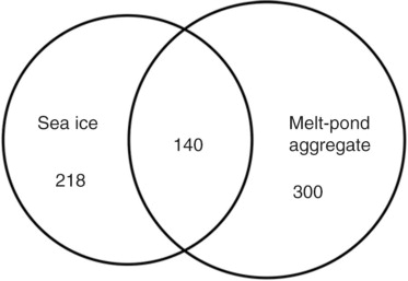 Fig. 3  Venn diagram of the operational taxonomic unit (OTU) overlap between the sea-ice bottom layer and melt-pond aggregate habitats. OTUs were generated with a threshold of 97% identity.