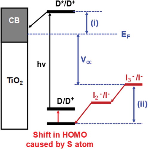 Figure 6. Shift in HOMO caused by the addition of sulphur atom to half-squaraine sensitizer. EF = Fermi level, (i) dye injection overpotential and (ii) dye regeneration overpotential. D = ground state dye, D* = excited state dye, D+; = oxidized dye, CB =conduction band, hν = sunlight and Voc = open circuit voltage.