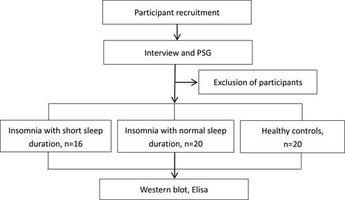 Figure 1 Schematic illustration of the study design. Participants were recruited through advertisements posted in hospitals and referrals from doctors in outpatient clinics. Interested individuals were invited to attend a structured interview and PSG conducted by an experienced psychiatrist. Thirty-six patients with insomnia who qualified the criteria were finally recruited. Twenty age and sex-matched healthy individuals who sleep well were recruited as healthy controls.