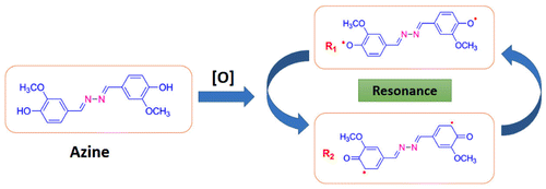 Scheme 2. Possible radical types for azine.